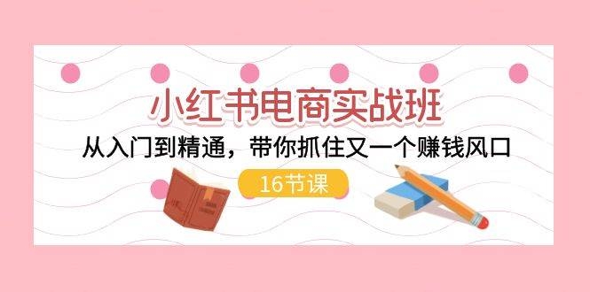 小红书电商实战班，从入门到精通，带你抓住又一个赚钱风口（16节）-凤来社资源库