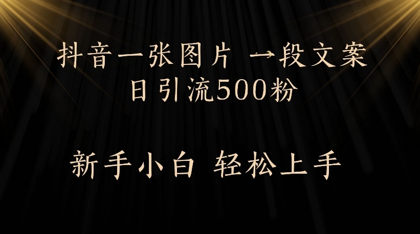 抖音一张图片，一段文案日引流500粉，新手小白 轻松上手-凤来社资源库