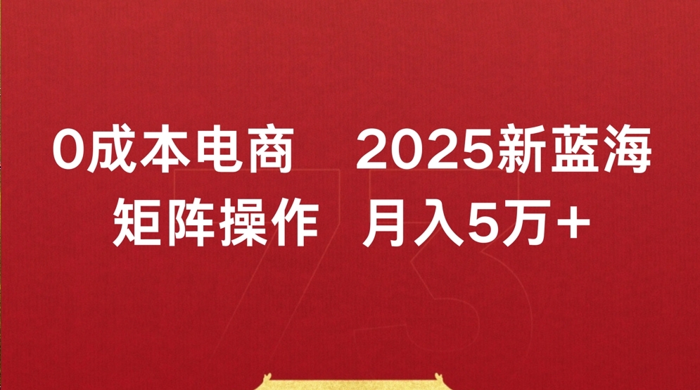 0成本电商2025新蓝海矩阵操作 月入5万+-凤来社资源库