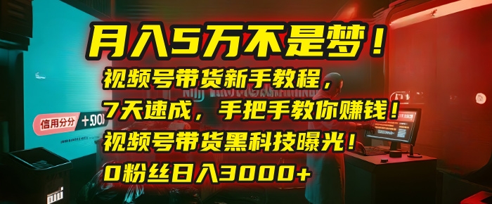 月入5万不是梦！视频号带货新手教程，7天速成，手把手教你赚钱！视频号带货黑科技曝光！0粉丝日入3000+-凤来社资源库