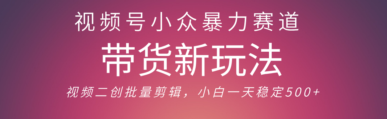 视频号小众暴力赛道，最新带货玩法 小白也能轻松日入500+ 保姆及教程-凤来社资源库