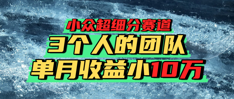 小众超细分赛道，一年百万利润的盘子！-凤来社资源库