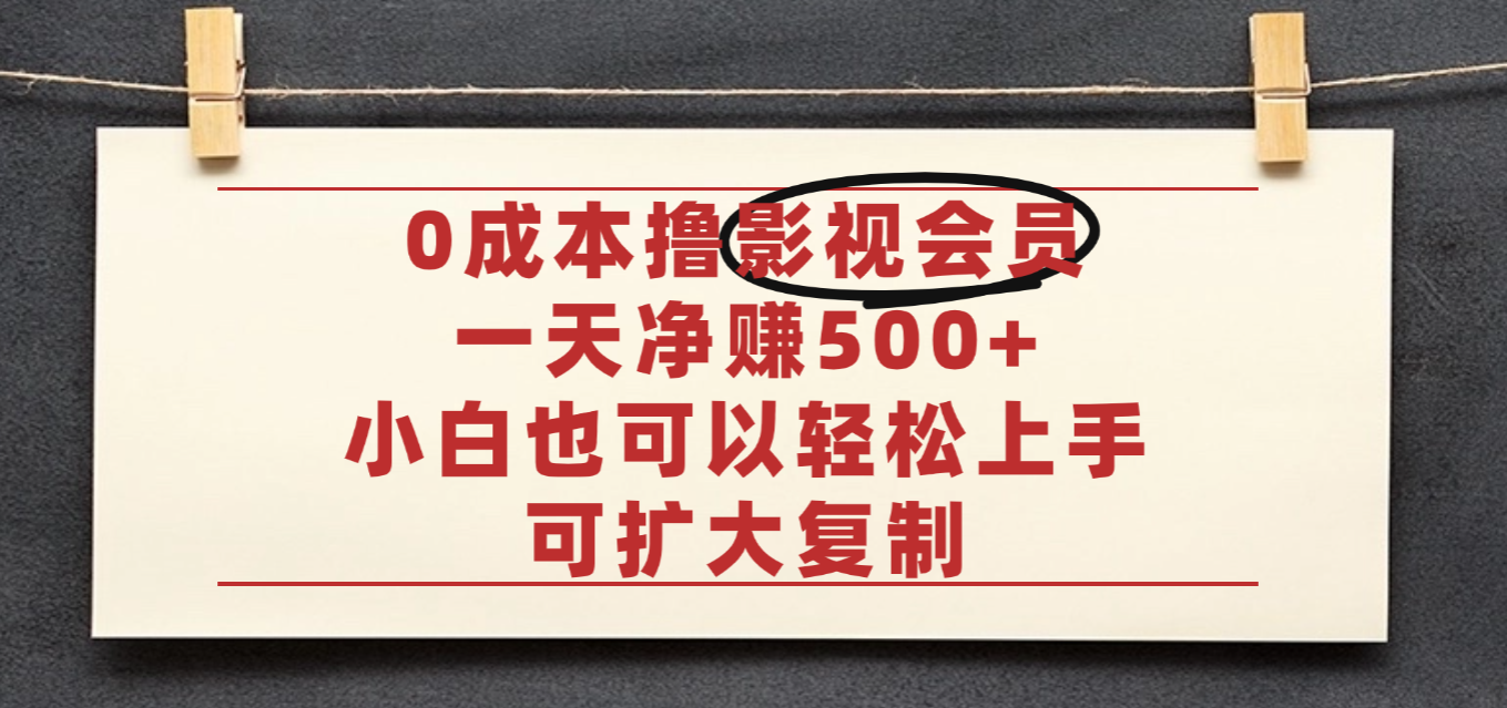 亲测，0成本可批量操作，靠卖影视会员实测月入30000+-凤来社资源库