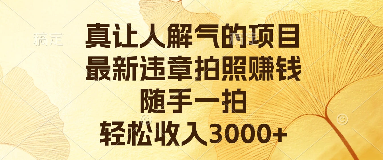 真让人解气的项目，最新违章拍照赚钱，随手一拍，轻松收入3000+-凤来社资源库